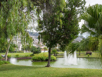 Fountain in park by lake