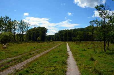 Road amidst plants and trees against sky