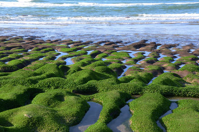 Scenic view of sea