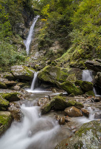 Scenic view of waterfall in forest