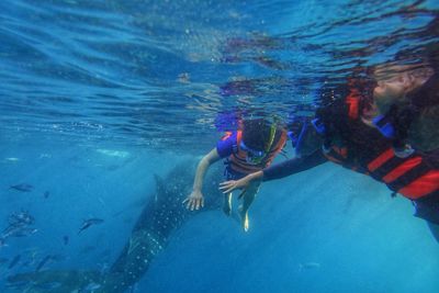 Man swimming in sea