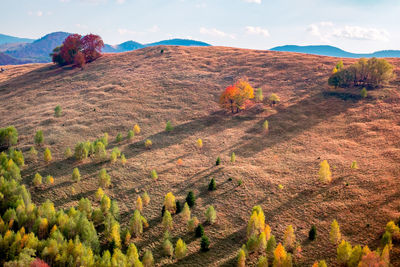 Romanian mountains in autumn season, cindrel mountains, paltinis area, sibiu county, central romania