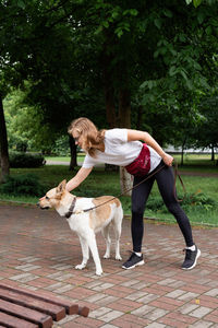 Young caucasian woman training her dog in a park. dog obedience training