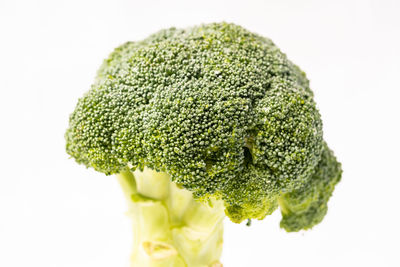 Close-up of green leaf against white background