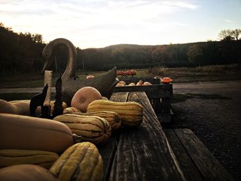 View of firewood