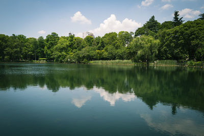 Scenic view of lake by trees against sky