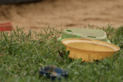 Close-up of hat on grass