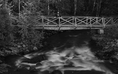 View of bridge in forest