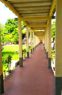 Corridor along plants and trees