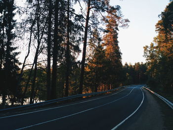 Empty road along trees in forest