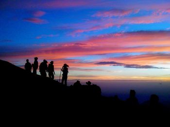 Silhouette of trees at sunset