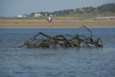 Man in sea against sky