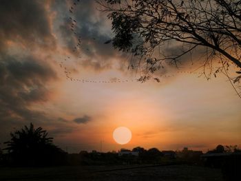 Silhouette trees against sky during sunset