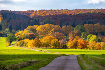 Road amidst trees against sky during autumn