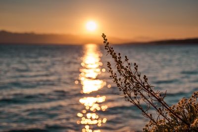 Scenic view of sea against sky during sunset