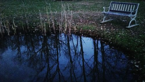 Reflection of trees in lake