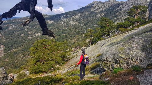 Rear view of man walking on mountain