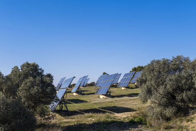 Solar panels in a rural landscape in spain