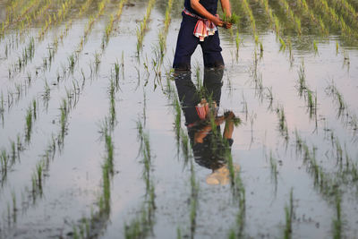 Low section of woman standing in puddle