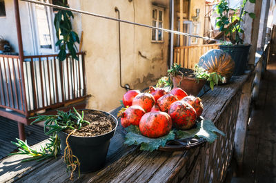 Fruits in container against built structure