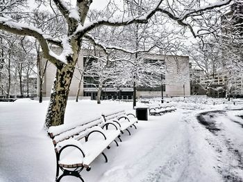 Snow covered landscape