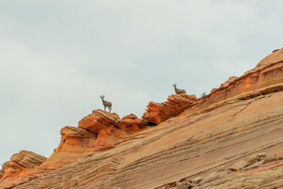 Low angle view of rock formations