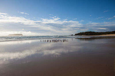 Scenic view of beach against sky