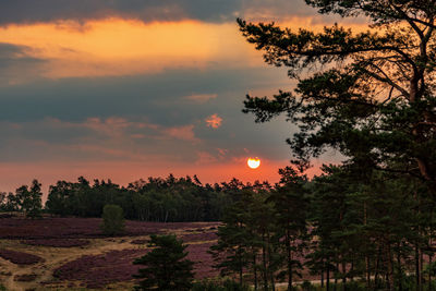 Silhouette trees on landscape against sky during sunset