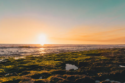 Scenic view of sea against sky during sunset