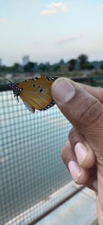 Cropped hand holding butterfly against lake