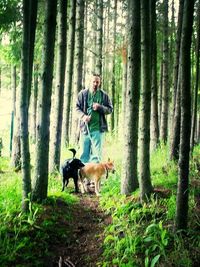 Portrait of dog in forest