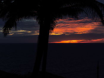 Silhouette palm trees by sea against sky during sunset