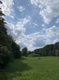Scenic view of field against sky