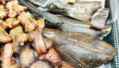 Close-up of fish for sale