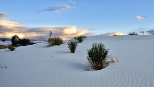 Scenic view of land against sky during winter