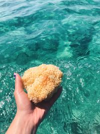 Cropped hand of woman holding coral against sea