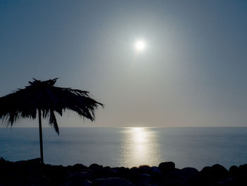 Silhouette palm tree by sea against clear sky