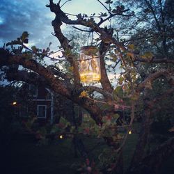 Built structure with trees in background