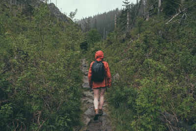 Rear view of woman walking on dirt road