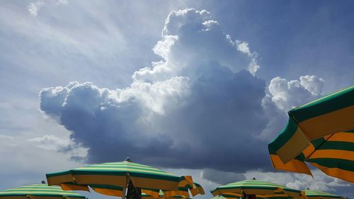 Canopies against the sky