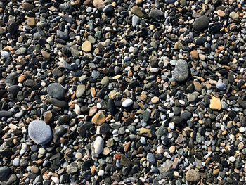 Full frame shot of pebbles