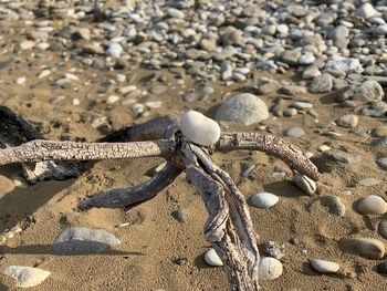 High angle view of stones on beach