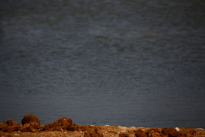 Rocks on sea shore against sky