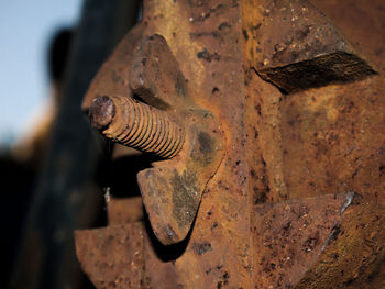 Close-up of rusty chain on wood