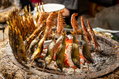Close-up of seafood for sale