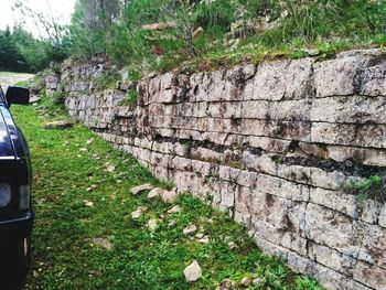 Stone wall by trees on field