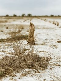 View of snow on field against sky