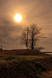 Tree on field against sky during sunset