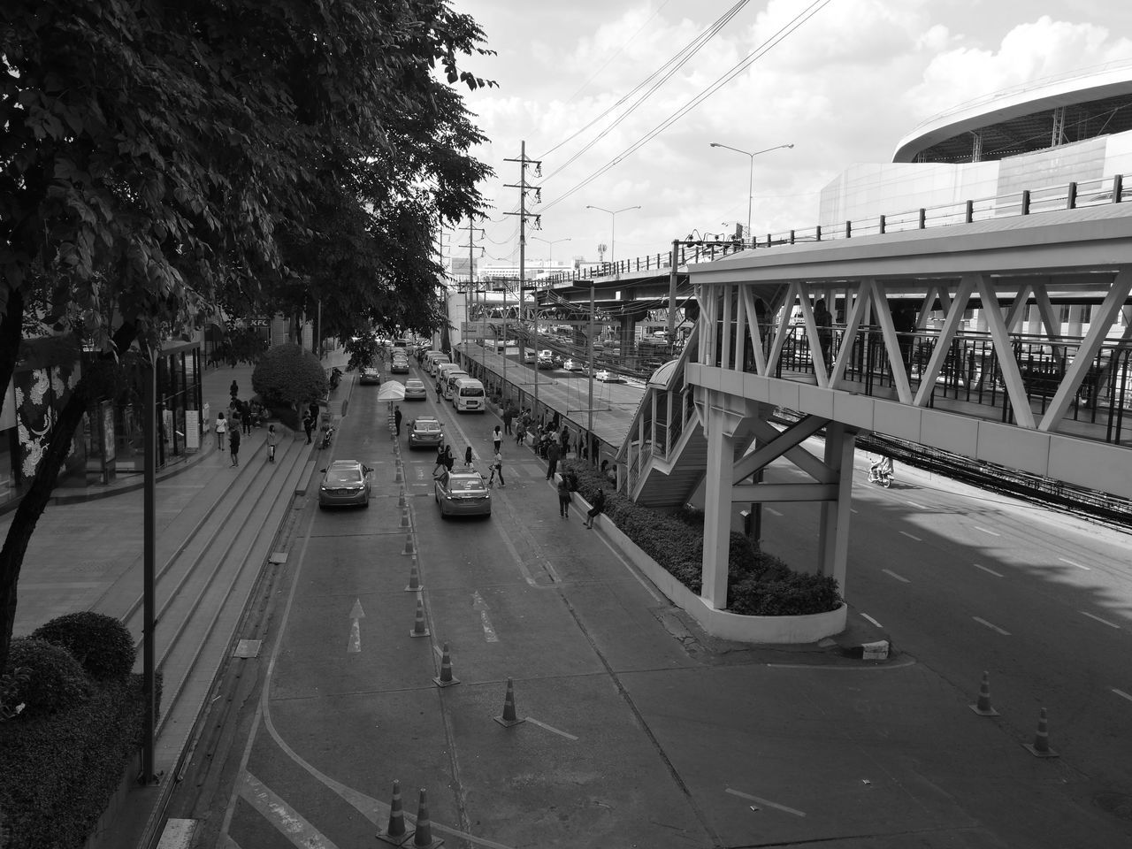 CARS ON CITY BY TREES AGAINST SKY IN BACKGROUND