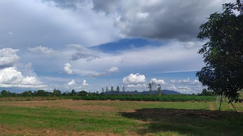 Scenic view of field against sky